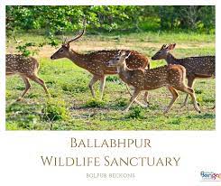 Ballabhpur Wildlife Sanctuary - Logo