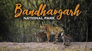 Bandhavgarh National Park Logo