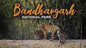 Bandhavgarh National Park - Logo