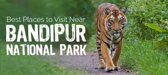 Bandipur National Park - Logo