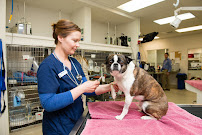 Bangalore Pet Clinic Medical Services | Veterinary