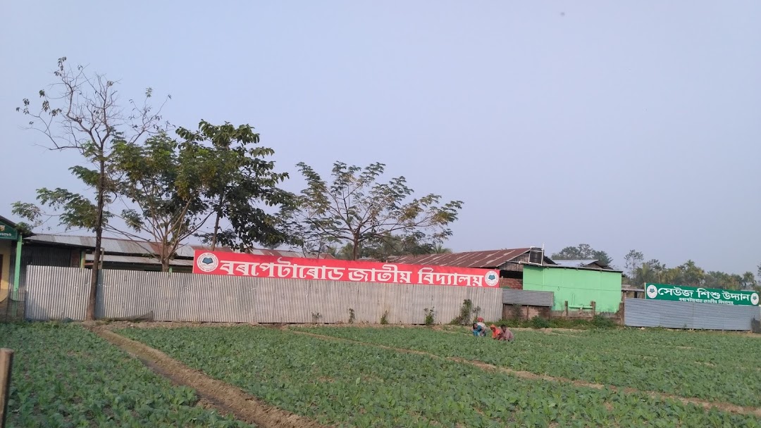 Barpeta Road Jatiya Vidyalaya - Logo