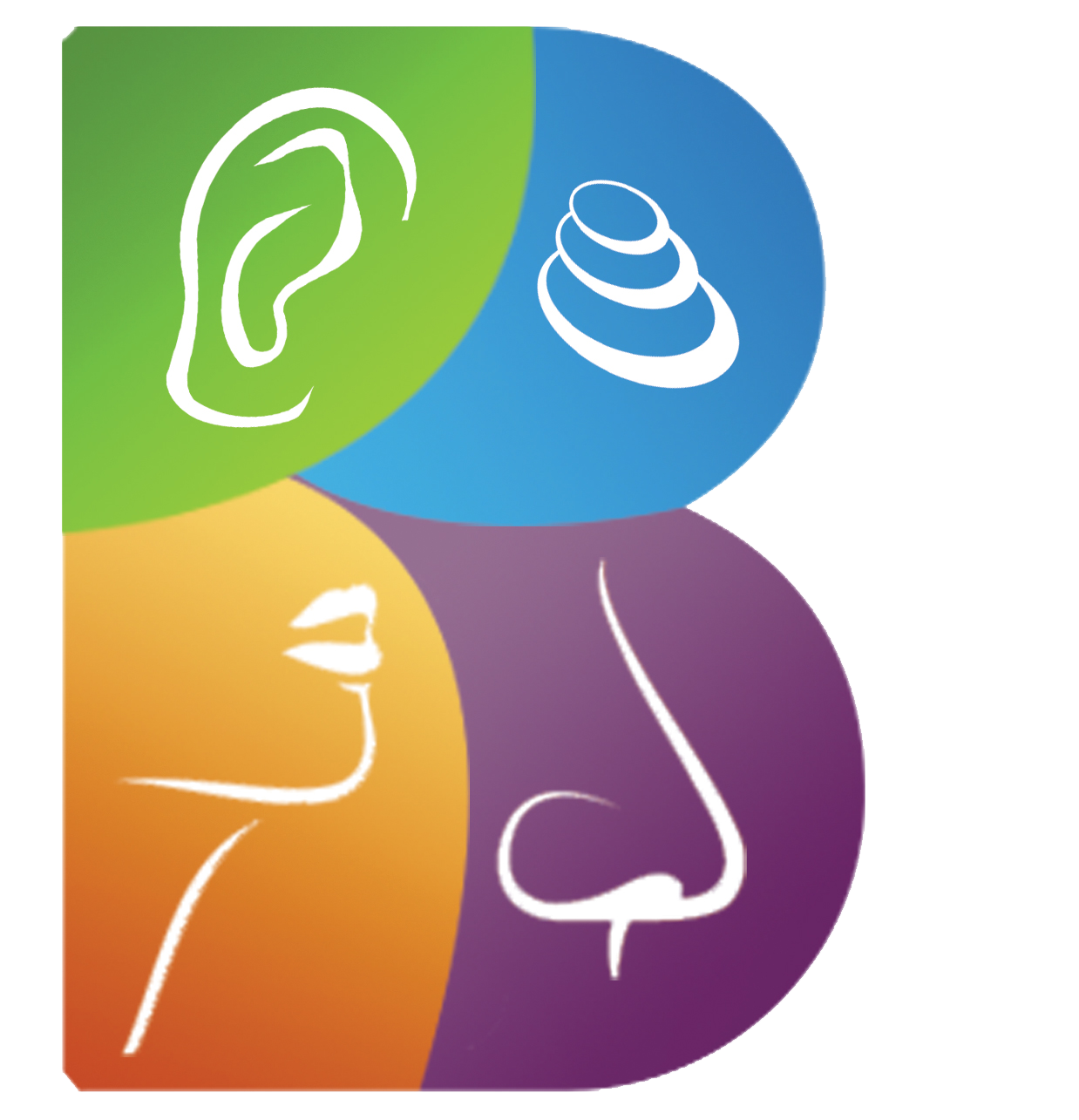 Bayya ENT and Cochlear implant Hospital Logo