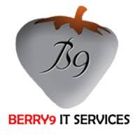 BERRY9 IT SERVICES - Logo