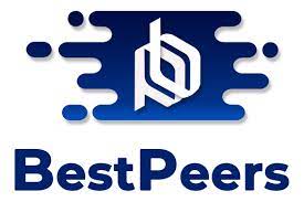 BestPeers InfoSystem Private Limited|IT Services|Professional Services