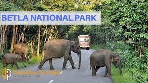 Betla National Park Logo