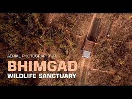 Bhimgad Wildlife Sanctuary - Logo