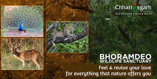 Bhoramdev Wildlife Sanctuary - Logo