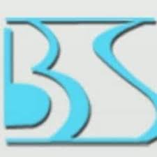 Big Blue Salon Logo