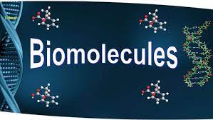 Biomolecule Classes - Logo