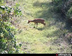 Bir gurdialpura wildlife sanctuary Travel | Zoo and Wildlife Sanctuary 