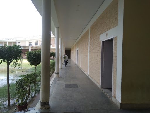 Birender Singh College Education | Colleges