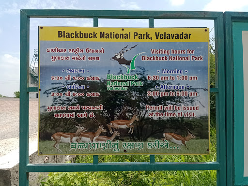Blackbuck National Park, Velavadar Travel | Zoo and Wildlife Sanctuary 
