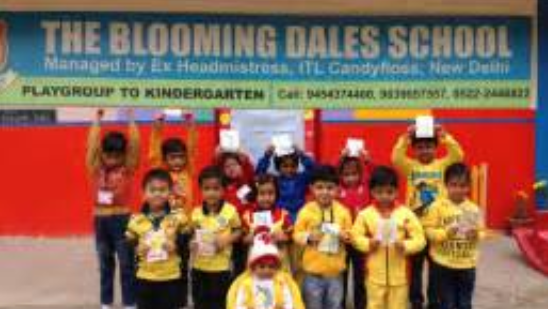 Blooming Dales Public School Logo