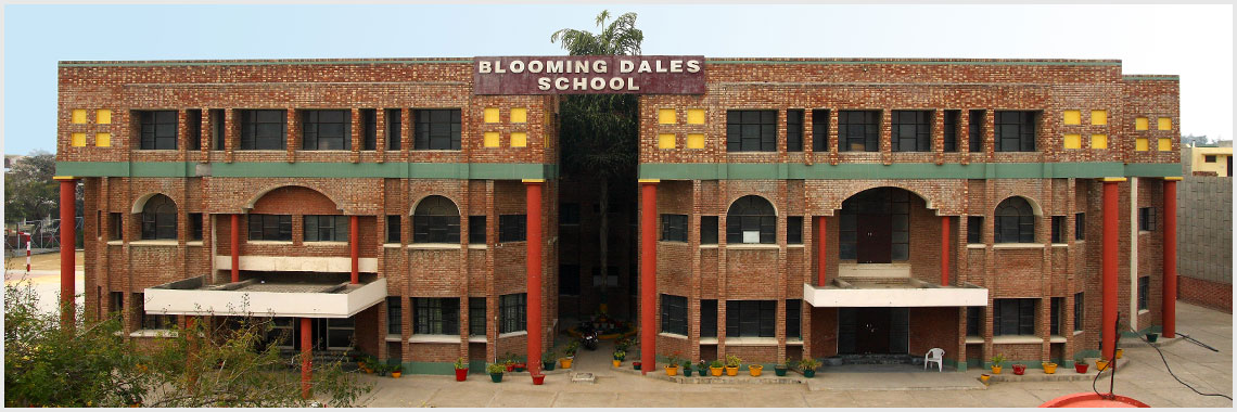 Blooming Dales School Education | Schools