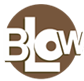 Blow Hair & Beauty Salon Logo