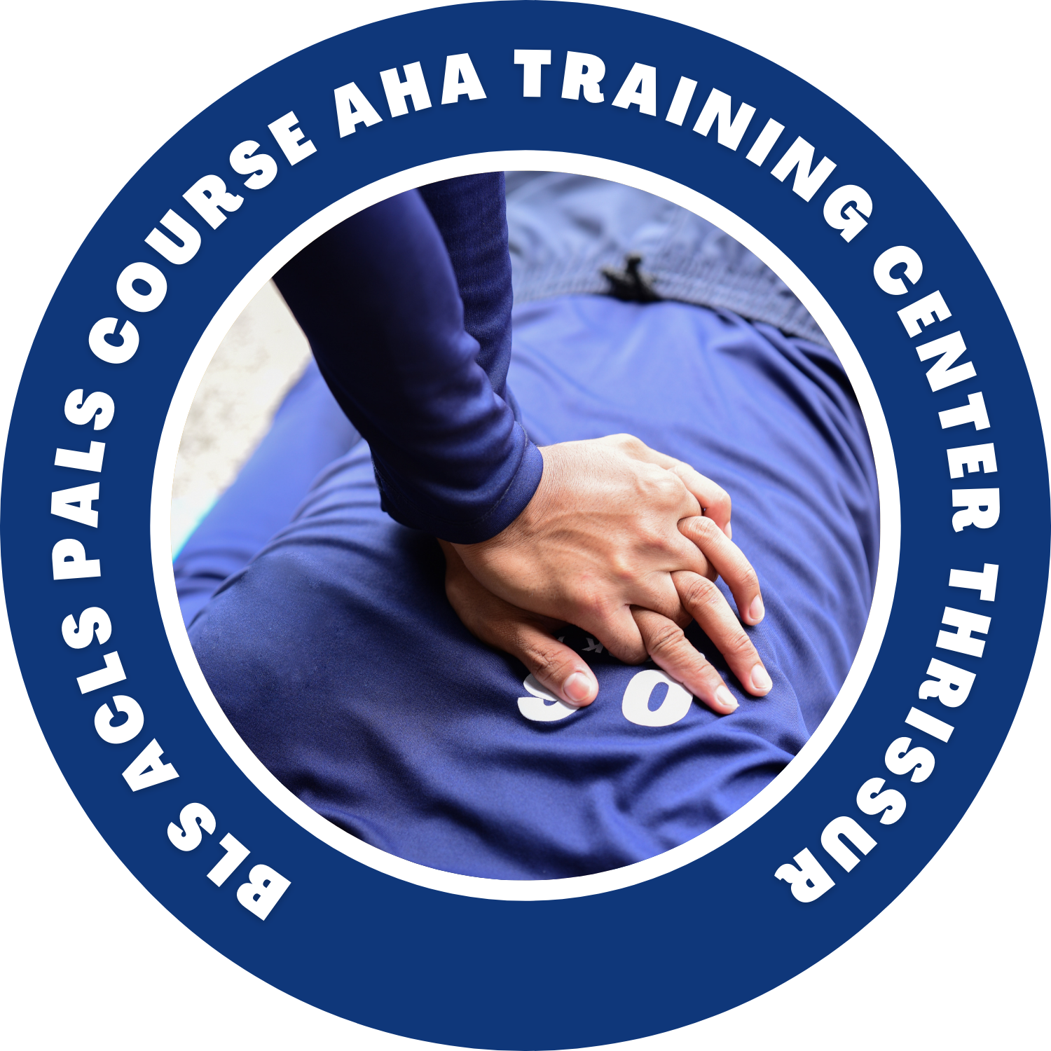 Bls Acls Pals Course AHA Training Center Thrissur - Logo