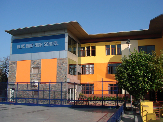 Blue Bird High School Panchkula Schools 003