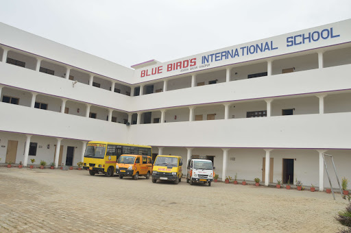 Blue Birds International School Education | Schools