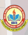 Blue Bird's International School|Schools|Education