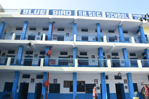 Blue Bird Senior Secondary School Education | Schools
