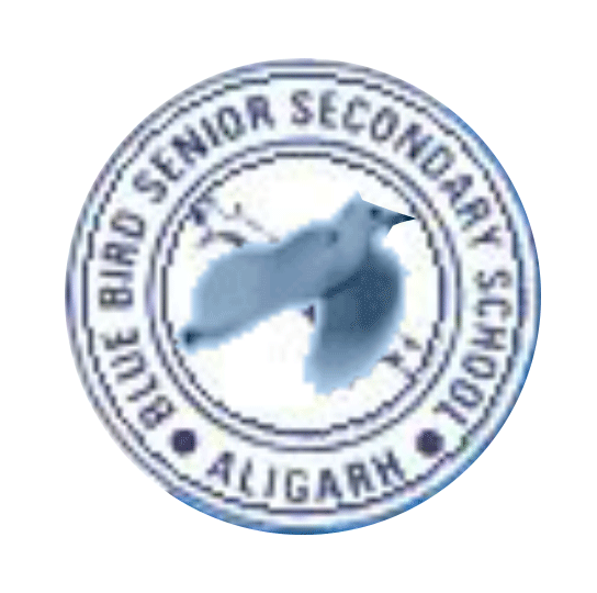 Blue Bird Senior Secondary School Logo