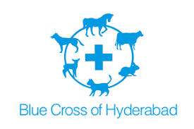 Blue Cross of India Logo