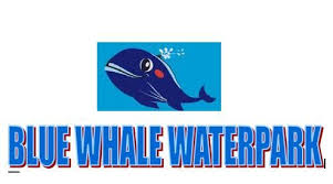 Blue Whale Water Park Logo