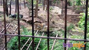 Bondla Wildlife Sanctuary Travel | Zoo and Wildlife Sanctuary 