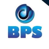 BPS IT & WEB SERVICES PVT. LTD.|Accounting Services|Professional Services