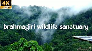 Brahmagiri Wildlife Sanctuary - Logo