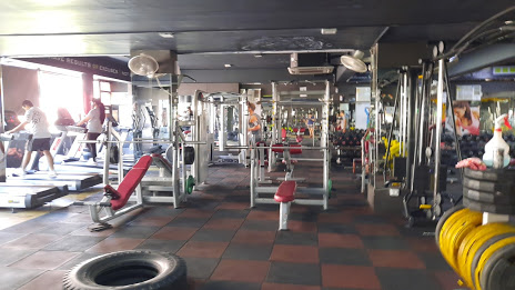 Braveheart Gym Active Life | Gym and Fitness Centre