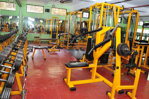 Brawn Fitness Centre for Ladies and Gents Active Life | Gym and Fitness Centre