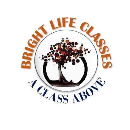 BRIGHT LIFE CLASSES|Coaching Institute|Education