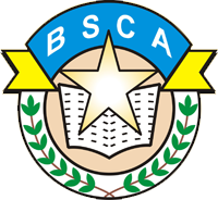 Bright Star Central Academy Logo