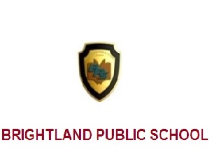 Brightland public school - Logo