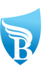Brio World Acadmy Logo