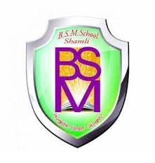 BSM Public School Logo