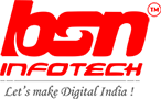 BSN Infotech Pvt. Ltd.|IT Services|Professional Services