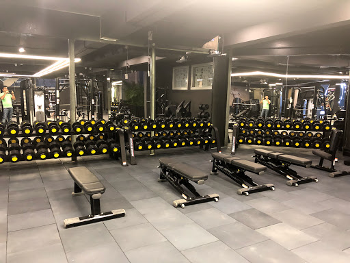 Burn Gym Phase 9 Active Life | Gym and Fitness Centre