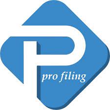 CA in motihari, Pro Filing - Logo