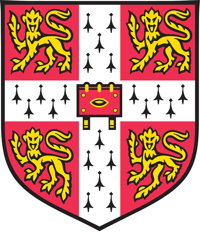 Cambridge school of excellence Logo