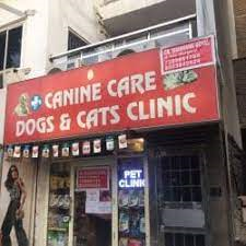 Canine Cares Dog Clinic Medical Services | Veterinary
