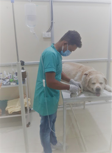 Care n Cure Pets Clinic Medical Services | Veterinary