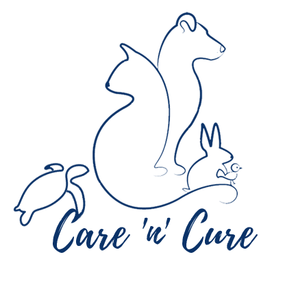 Care 'n' Cure Pets Clinic - Logo