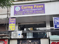 Caring Paws Vet Clinic Medical Services | Veterinary