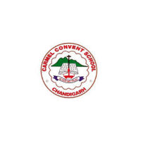 Carmel Convent School|Universities|Education