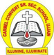 Carmel Convent Senior Secondary School|Coaching Institute|Education
