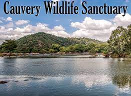 Cauvery Wildlife Sanctuary - Logo