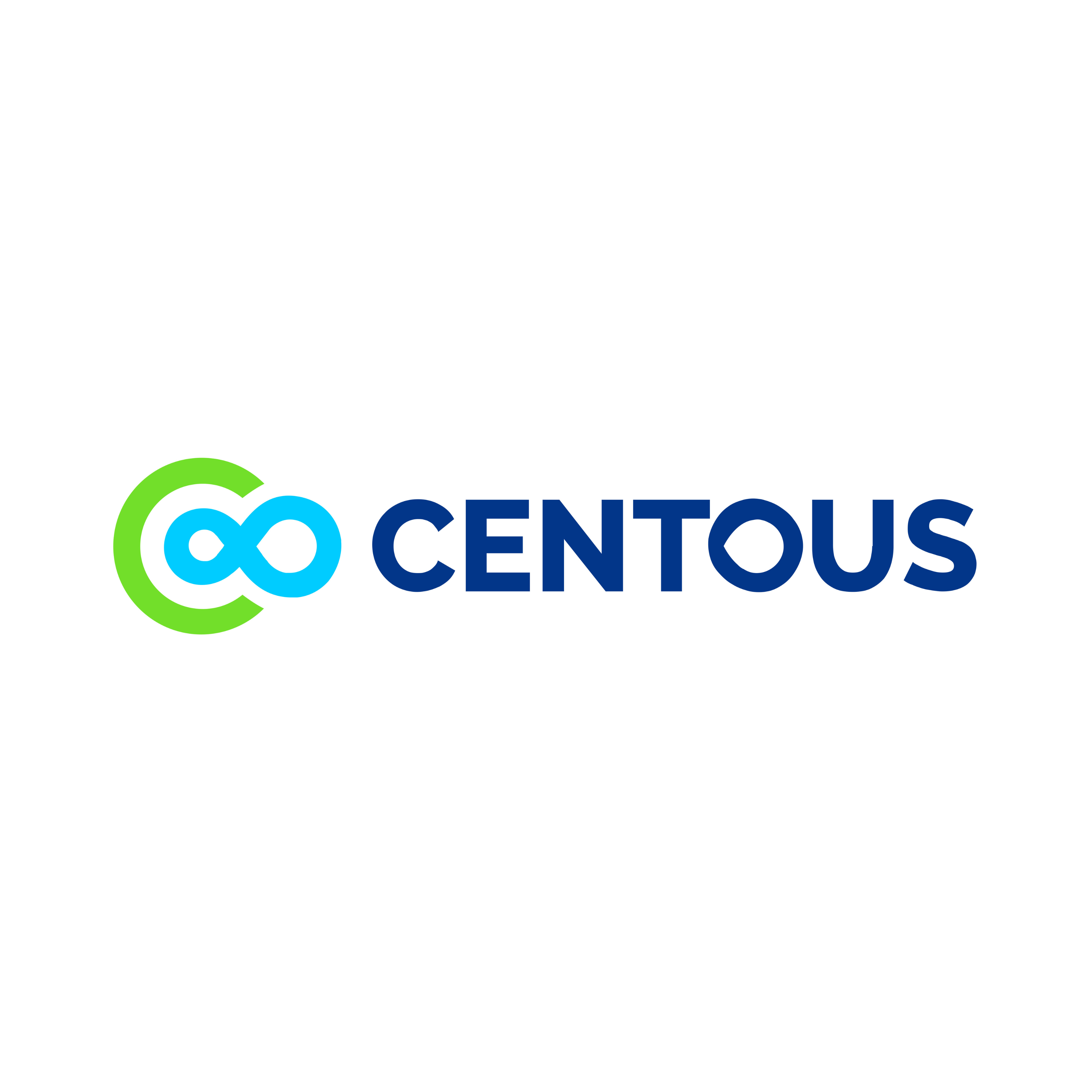 Centous Solutions|IT Services|Professional Services